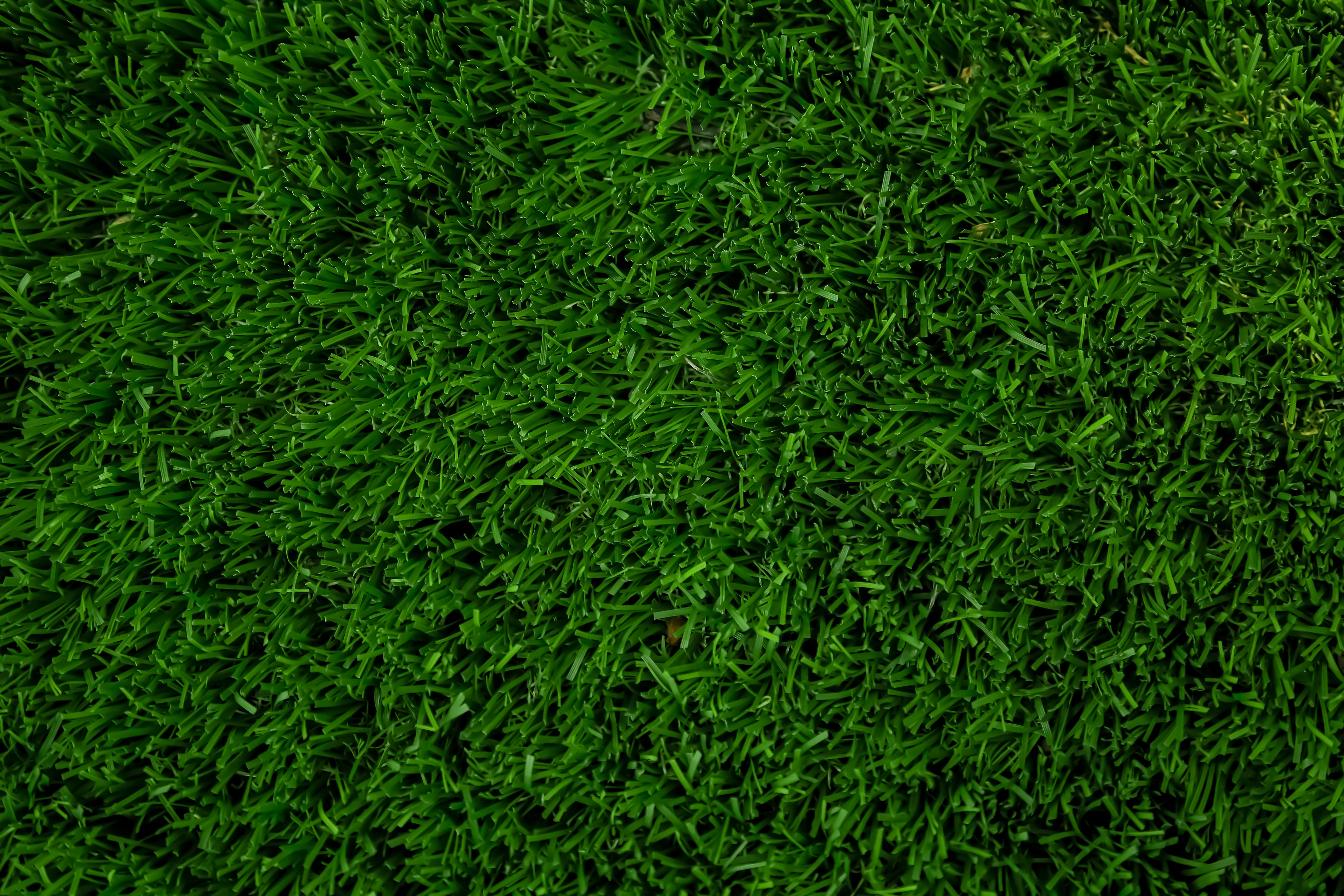 Texture prato
